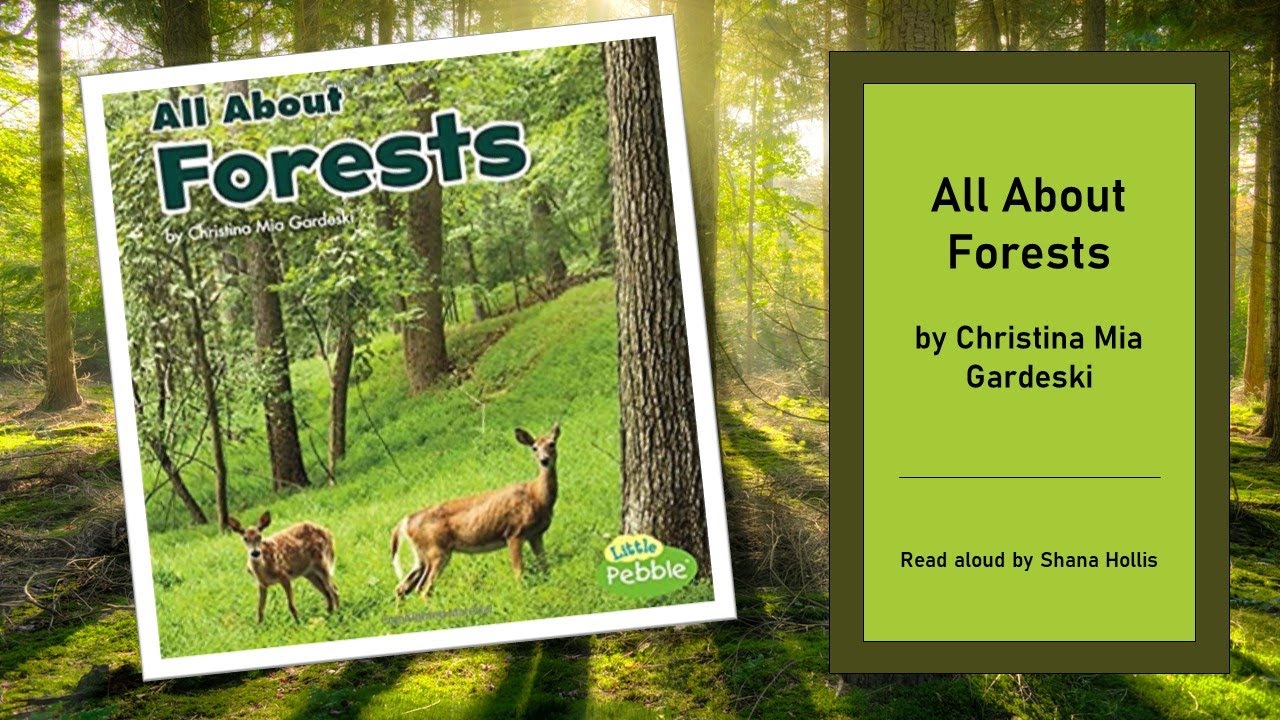 Habitats: All About Forests (a read aloud) - YouTube