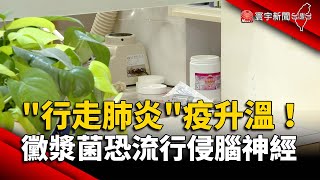 「行走肺炎」疫升溫！黴漿菌恐流行侵腦神經｜#寰宇新聞 @globalnewstw