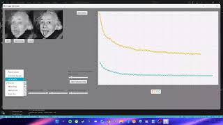 Final Demonstration - Image recreation with genetic algorithms