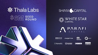Thala Labs Testnet Guide Part 1 screenshot 5