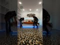 installing luxury pebble stone floor in modern bedroom 😱🏠