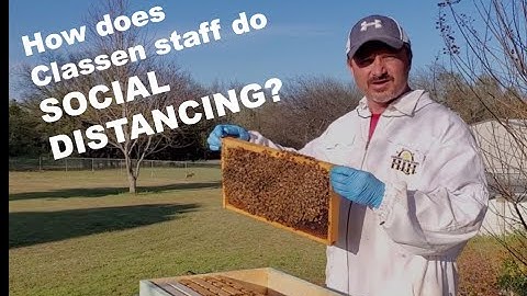 Classen SAS@NE Social Distancing