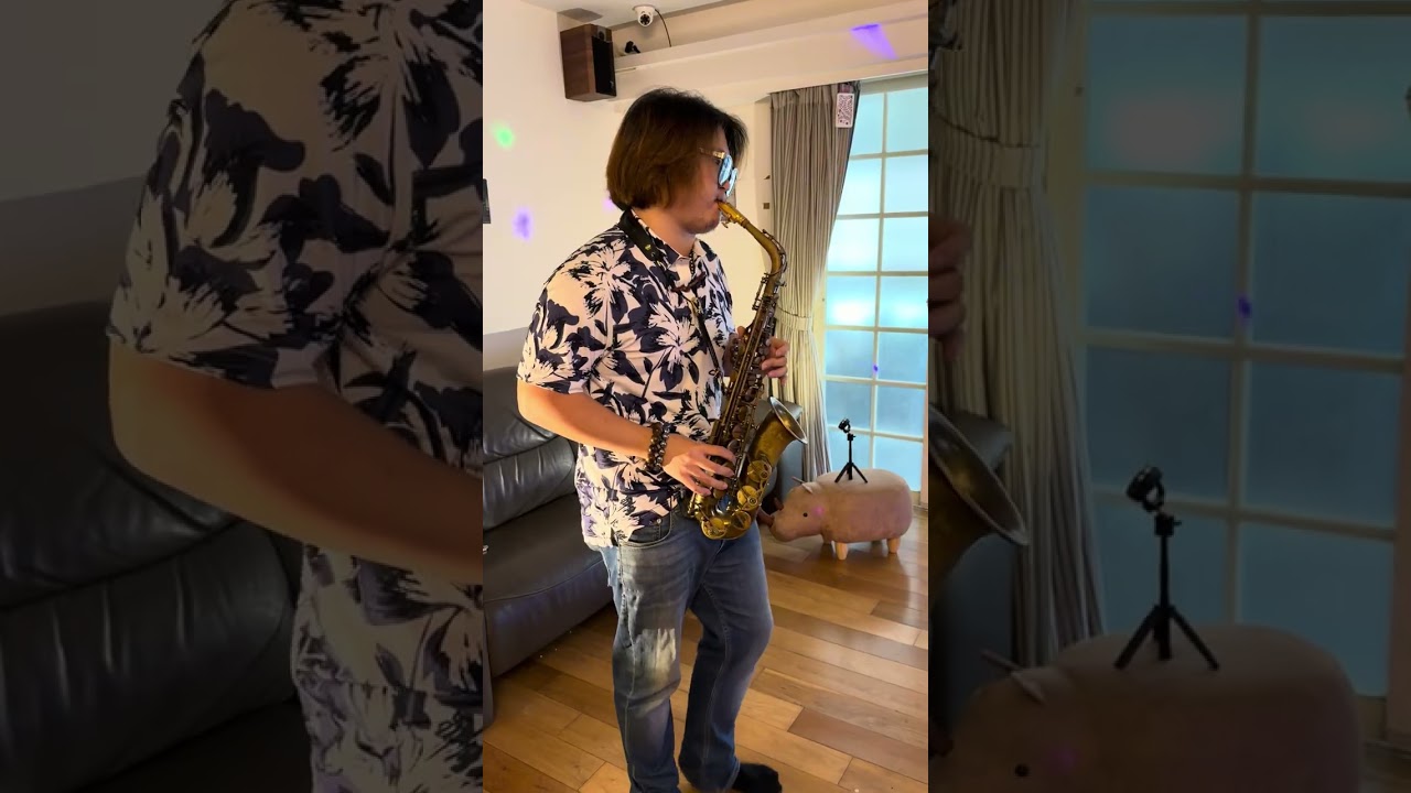 Winelight (Grover Washington) (Alto Sax)