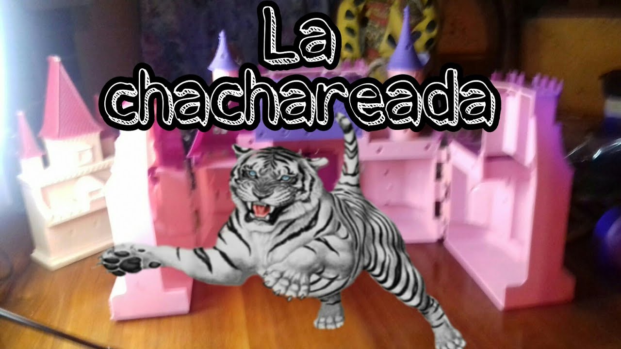la chachareada