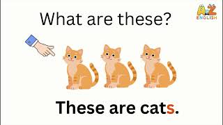 A2Z English – Unit 2 Lesson 5 | Review Lesson