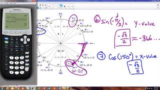 Chapter 13 Test review