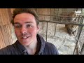 Meet The UK's Answer To Tiger King | LADbible