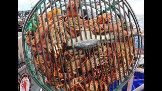 POTS ARE FULL Day 3 pt 2 - Lobster fishing vlog