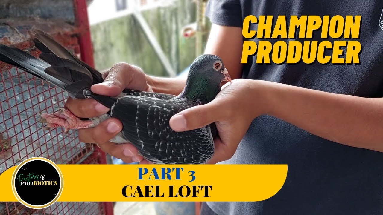 Nakita natin ang nanay ng MasTac Champion!