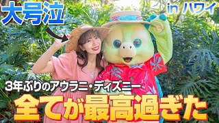 【3年で大変貌】ハワイにあるディズニーの楽園が最高すぎて大号泣【アウラニ】