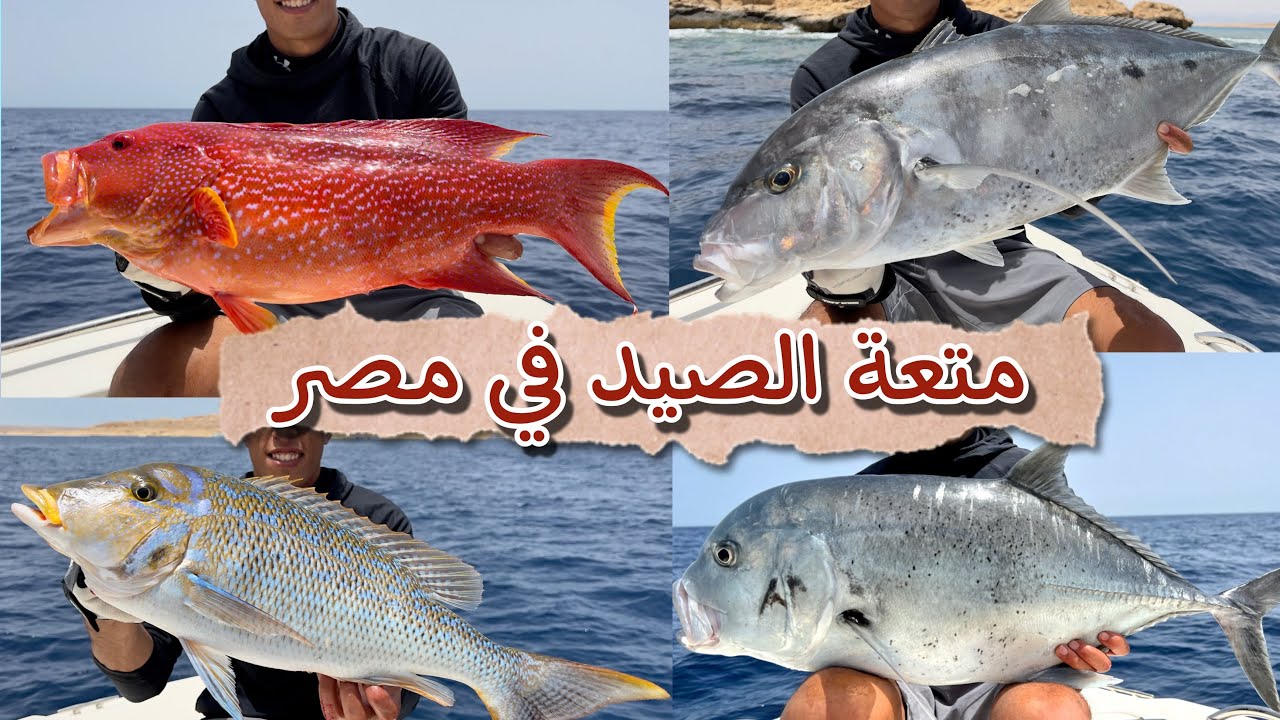 اصطادنا فى البحر الاحمر واتفاجئنا بالوحوش🔥😱