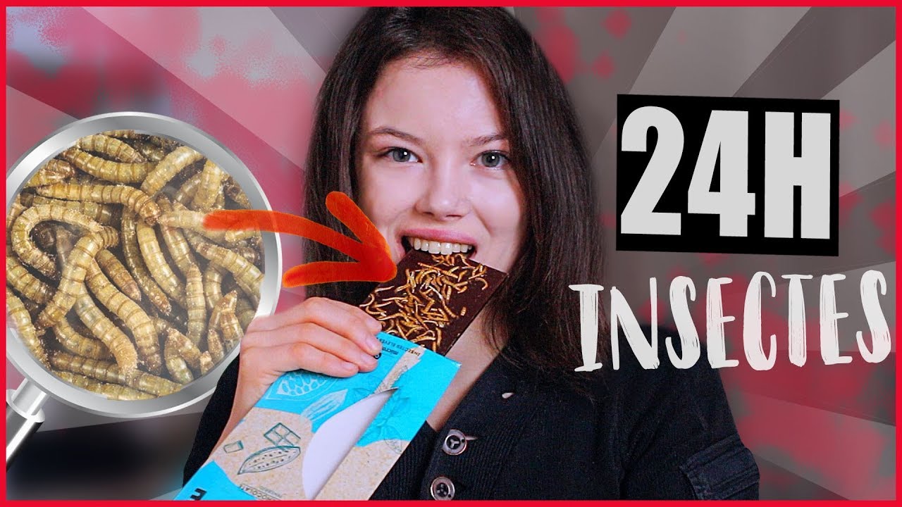 JE MANGE QUE DES INSECTES PENDANT 24H - Claire