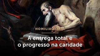 Homilia Diária | A entrega total e o progresso na caridade (Mem. de São Jerônimo, Doutor da Igreja)