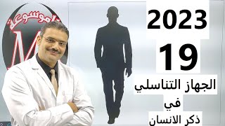 2023 احياء الصف الثالث الثانوى : 19 :-  شرح درس الجهاز التناسلي فى ذكر الانسان نظام جديد