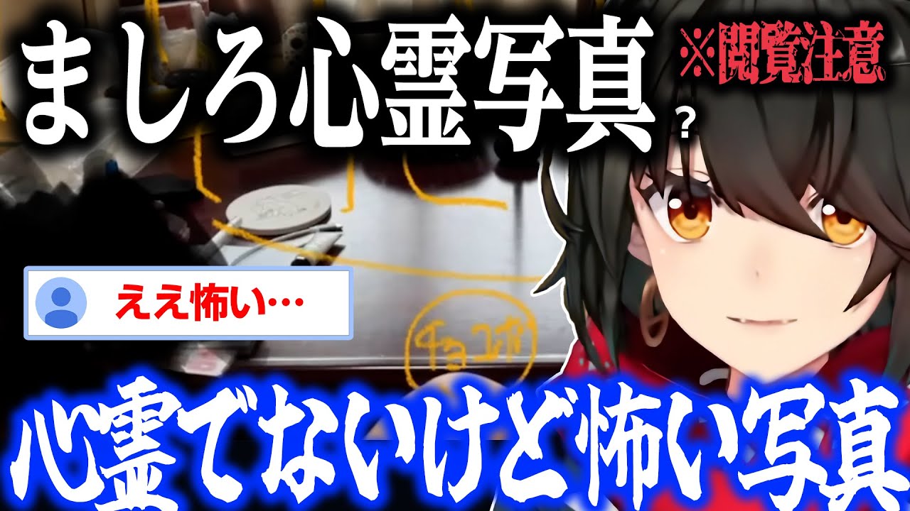 【心霊?】心霊ではないが不気味な写真と動画【にじさんじ/ましろ/切り抜き】