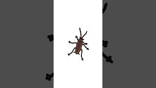 Cock..roach #shorts #art #trend #viralshort #artist #funny #cockroach #viral #bug #meme #animation #