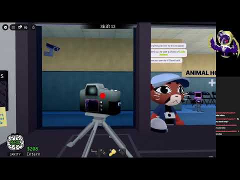 Animal Hopital