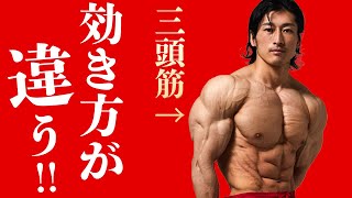 押さえておきたい三頭筋トレのポイント！【腕トレ】