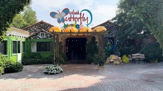Butterfly Garden Dubai ??| #dubai #dubaicity #dubaivlog #telugu #teluguvlogs #viral