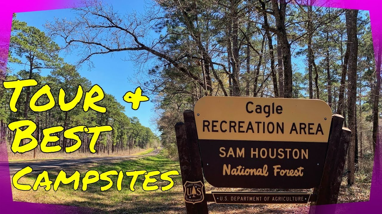 Sam Houston National Forest Cagle - Maxresdefault