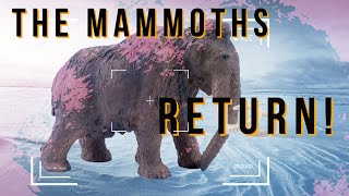 The Woolly Mammoths will be back by 2027!
Are we creating a real life Jurassic Park?
The Woolly Mammoth went extinct almost 10,000 years ago, but might walk again in the Arctic Tundra by 2027. A company called Colossal is working on this project using a gene editing technology called CRISPR.
The area designated for this experiment is called The Pleistocene Park (https://pleistocenepark.ru).
What is being targeting and what might be the possible consequences? Watch the video to find out more.
#climatechange #globalwarming #permafrost #extinctanimals The Woolly Mammoths will be back by 2027!