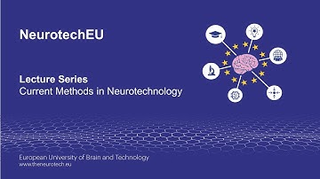 NeurotechEU - Analysis of Phase Separation at the Synapse