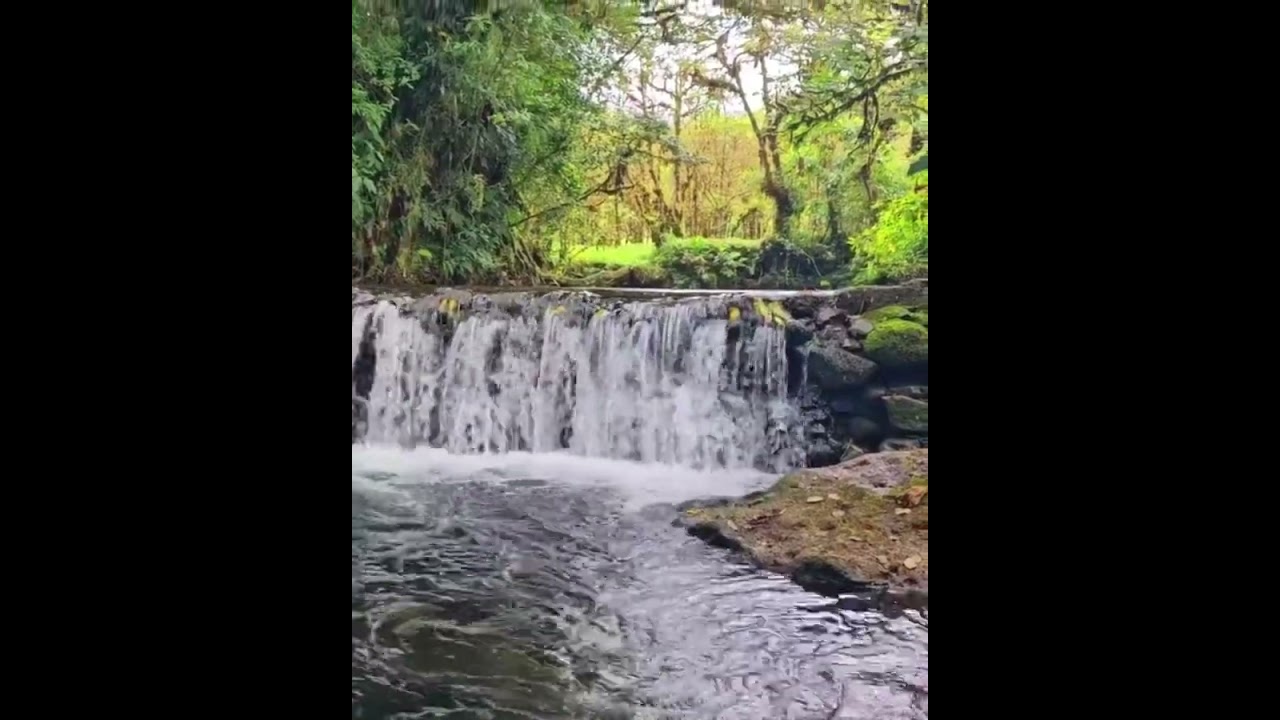 Waterfall |Serene Natural Sounds🌊
