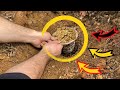 METAL DETECTİNG / REAL TREASURE HUNT