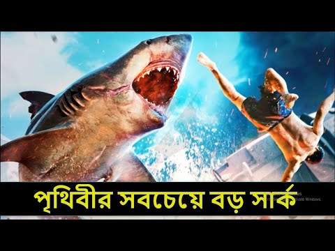 ভিডিও: সার্ক দ্বীপ কত বড়?