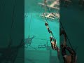 Как захватить ЛЮБОЙ корабль в AC 4 без единого выстрела? 🏴☠️