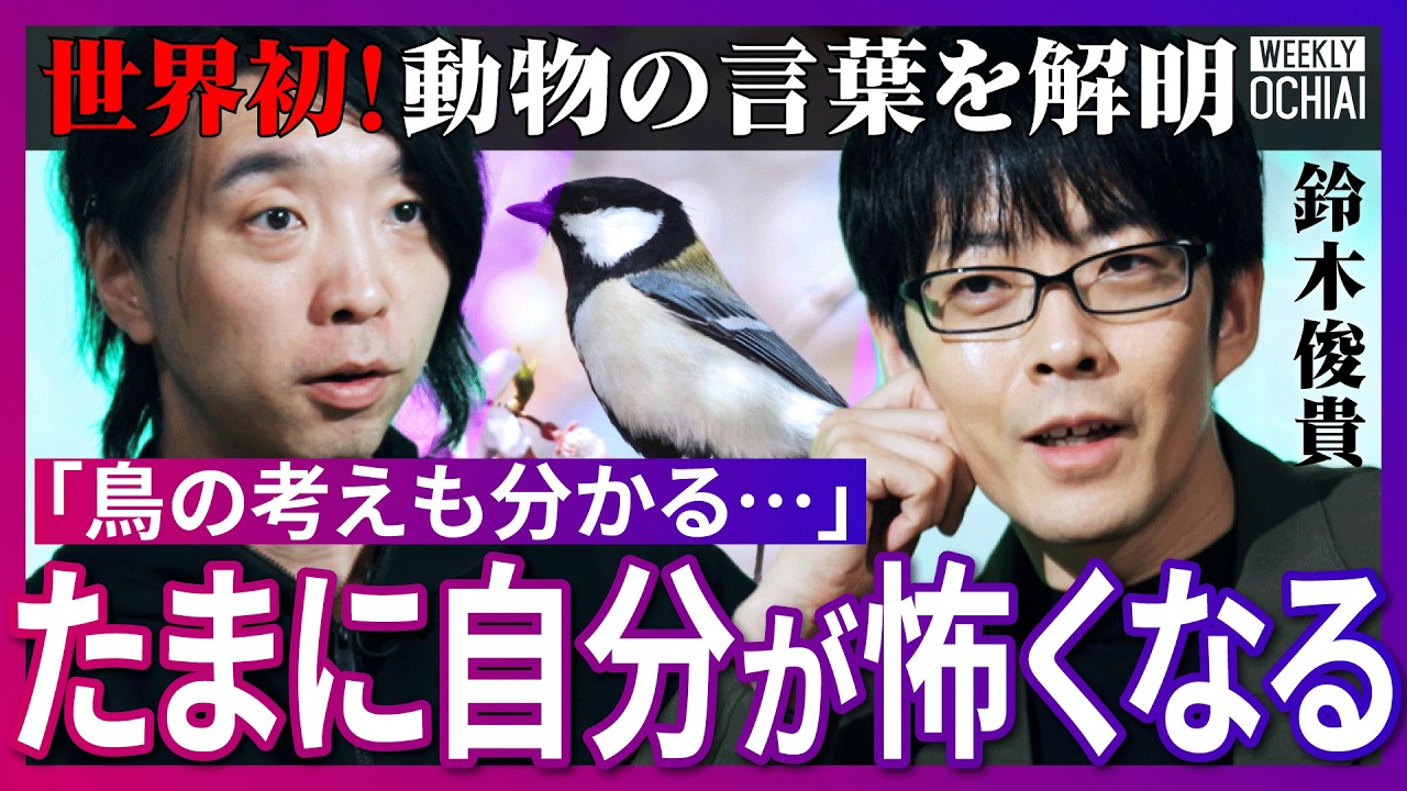 鳥、鈴木 Who exactly are they?