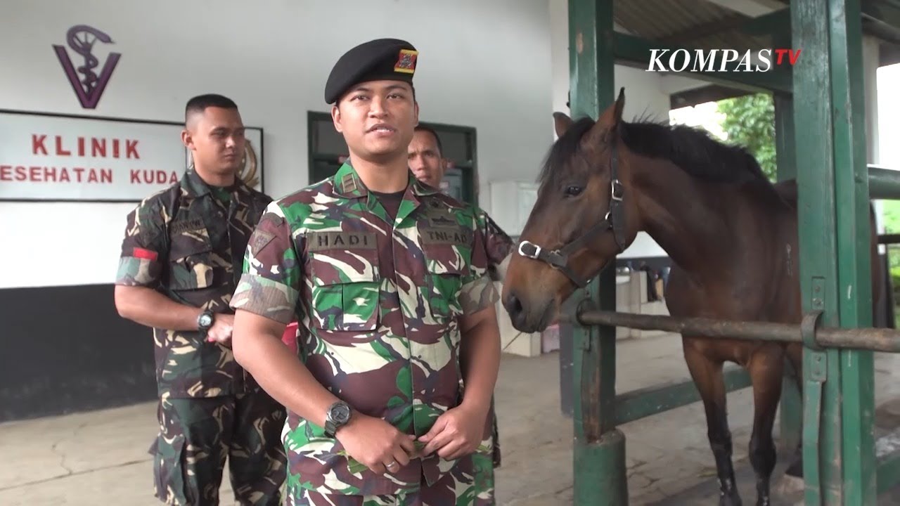 Detasemen Kavaleri Berkuda, Kuda Tempur Angkatan Darat - CERITA MILITER (Bag3)