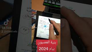 بنية العصبون #بيام_2024 #bem2024 #اكسبلور