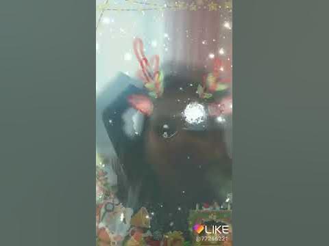 Женя🐕🐩🐭🐁🐹🐓🐇🐩🐶🐭 - YouTube