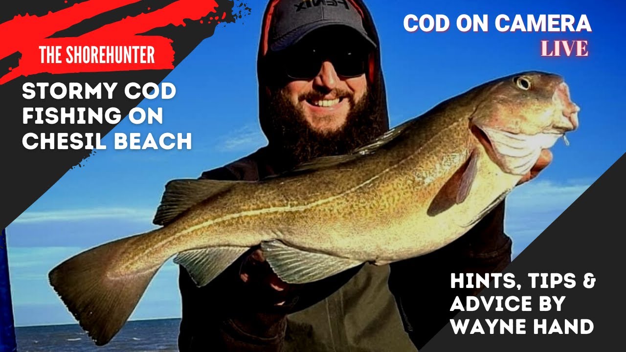 Cod Fishing Chesil Beach, Hints, Tips & Advice With Wayne Hand, Coaching & Catching Cod On Camera.
