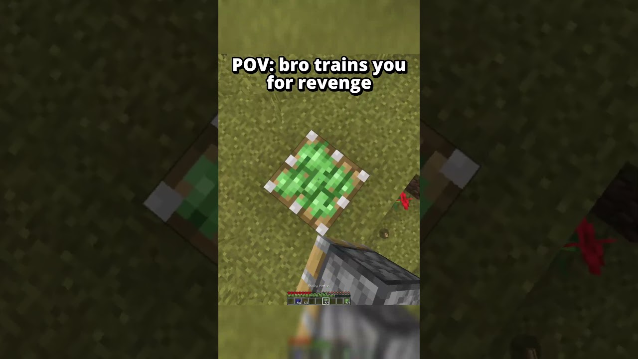 Minecraft Revenge Moment