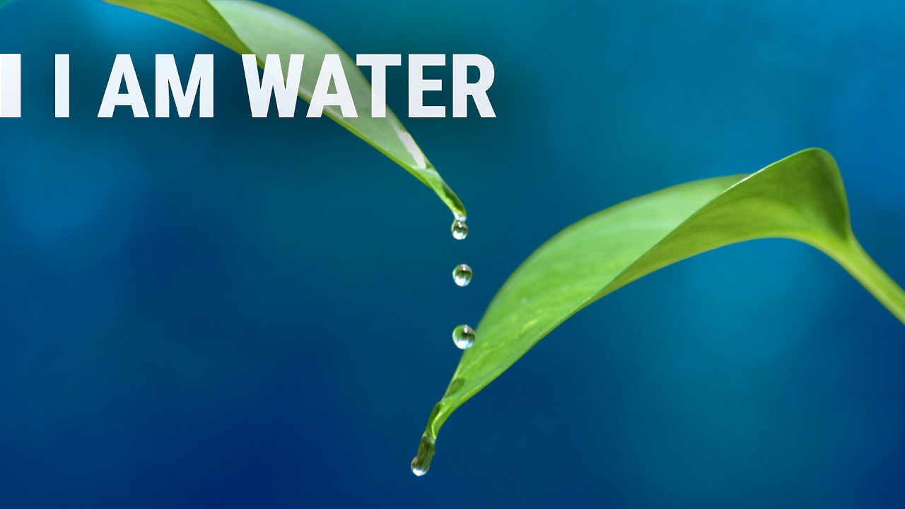 Thumbnail for I Am Water