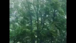 Rain Blessings from Appalachia