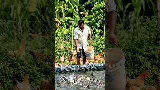 ai fish farming