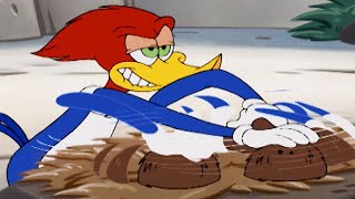 Woody Woodpecker Show | Tire Tyrant | Full Episode | Kids Movies | Kids Cartoon | Videos For Kids