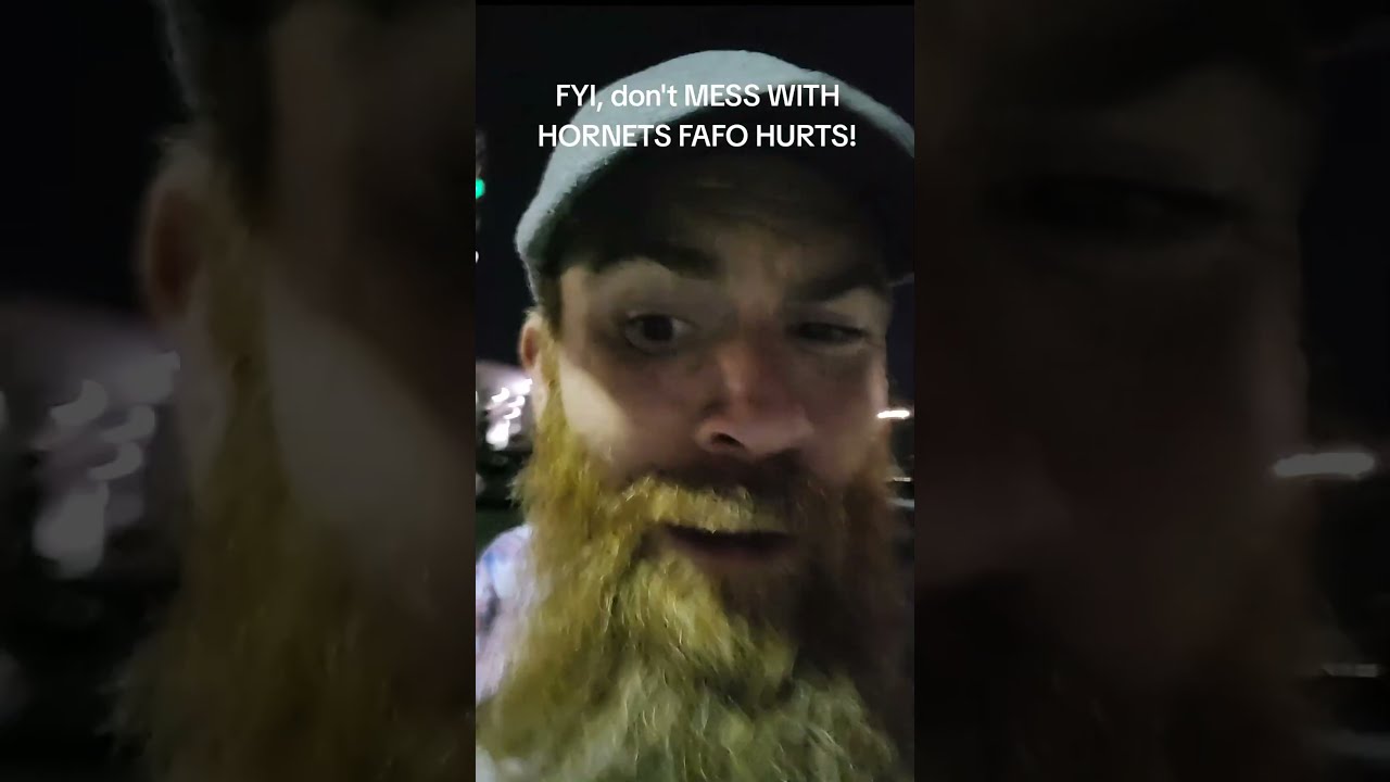 So I Learned To Don T FAFO WHEN IT COMES TO HORNETS Lasvegas Fyp Viral Funny