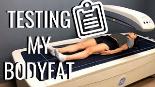 Testing My Body Fat % | DEXA Scan Results!
