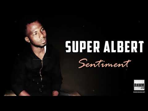 SUPER ALBERT - SENTIMENT (2020)