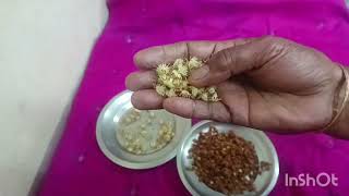 மகிழம்பூ பயன்கள், Mimusops Elengi, spanish cherry uses, Nirmal herbs, Nature & food recipi 🌹