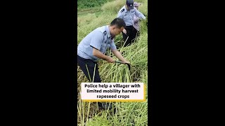 Police help a villager with limited mobility harvest rapeseed crops