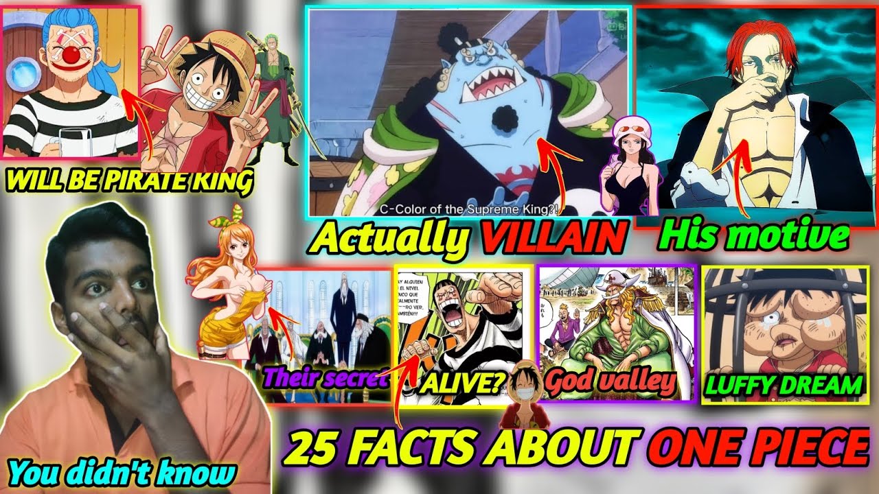 King One Piece: Interesting Facts You Didn't Know