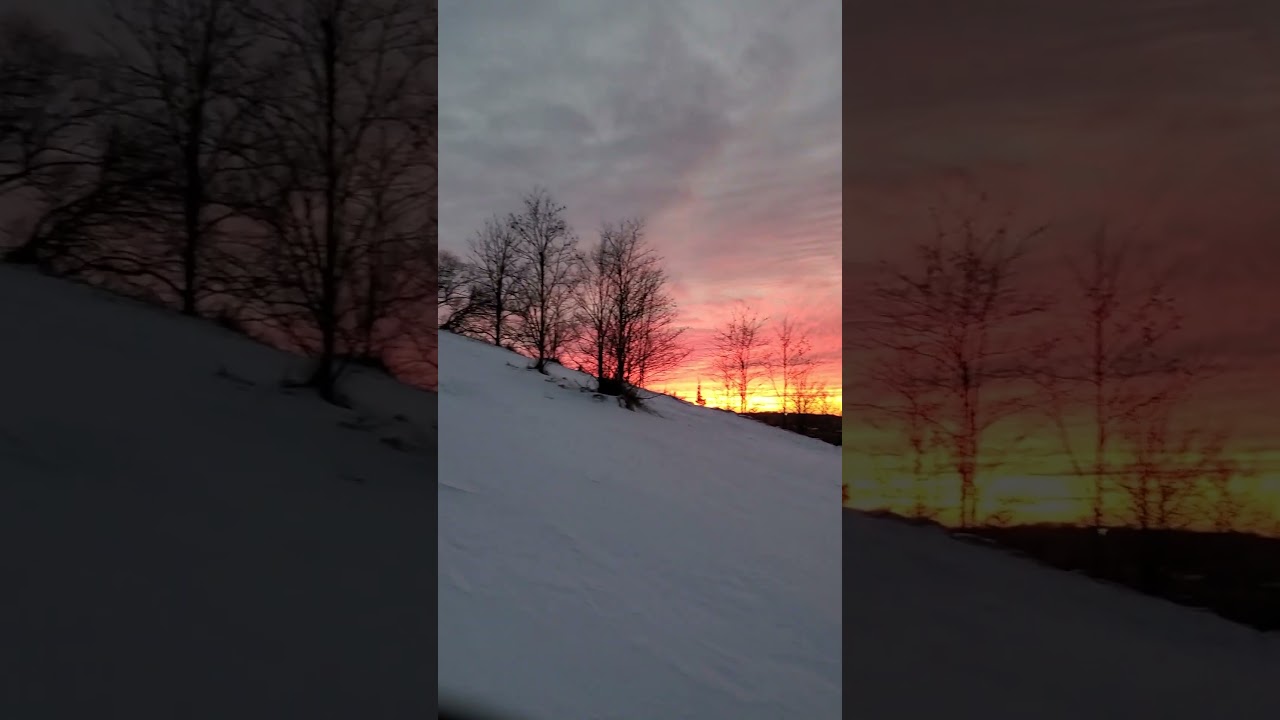 Episode 650 - Von Boyage