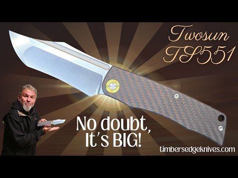 Twosun TS551