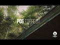 PCG Forest: Effortlessly Create Stunning Forests in Unreal Engine 5