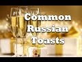 Most Common Russian Drinking Toasts/Phrases [Russian for Beginners]